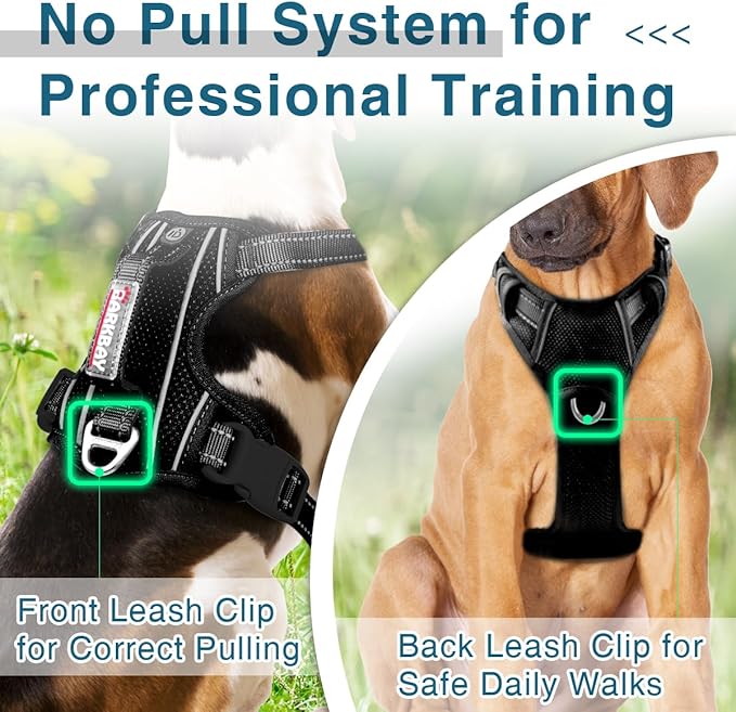 BARKBAY Dog Harness No Pull with ID Tag Pocket - Heavy Duty, Reflective, Easy Control for Large Dogs(Black,M)