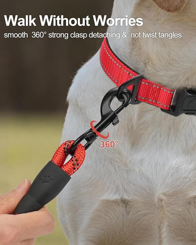 Joytale Dog Leash for Small Dogs, Heavy Duty Nylon Leashes with Comfortable Padded Handle and Highly Reflective Threads, Ideal for Walking and Training, Red, 6'횞3/8''
