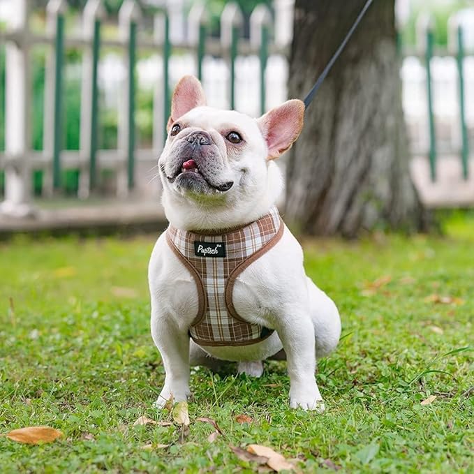 PUPTECK Soft Mesh Dog Harness and Leash Set Pet Puppy Cat Comfort Padded Vest No Pull Harnesses, Brown, S