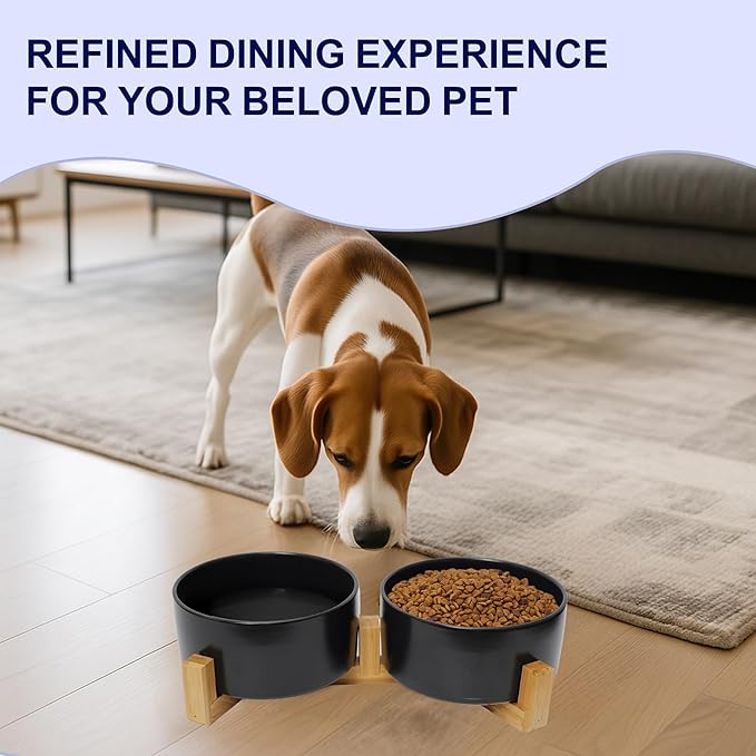 Ceramic Dog Water Bowl, 28.7 oz No Spill Water and Food Bowls for Medium Dogs, Modern Design Dishes for Puppy & Cat, Pet Feeding Station with Weighted Base, Black