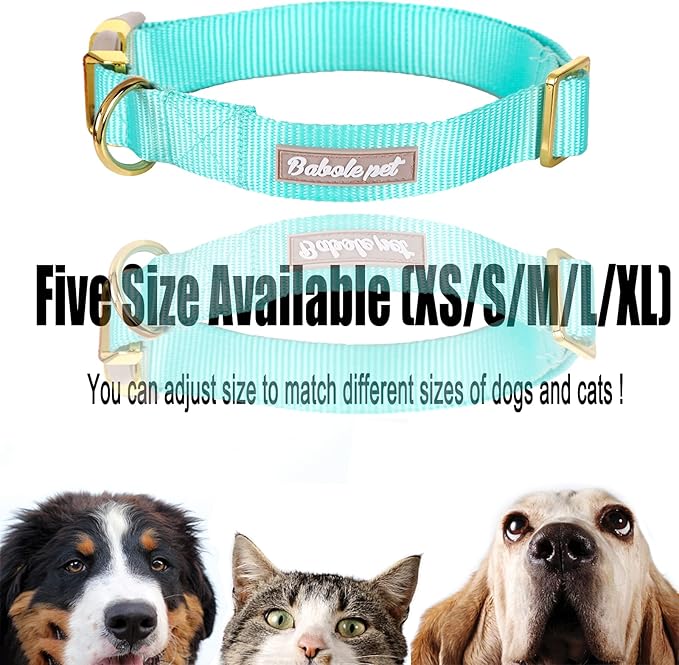 Nylon Dog Collar - Adjustable Lake Blue Soft Webbing Dog Collars for Small Medium Large Dogs Boy Girl Puppy Collar with Safety Metal Buckle M
