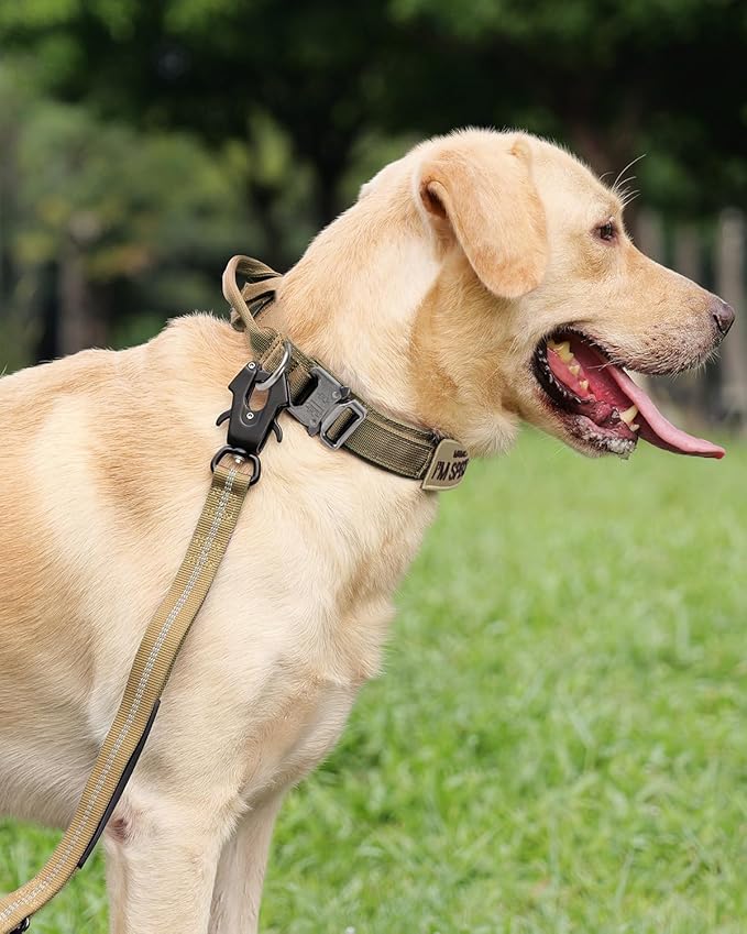 Joytale Tactical Dog Collar with Handle, Adjustable Heavy Duty Military Collar with 2 Patches for Training, Suitable for XLarge Dogs, Khaki, XL