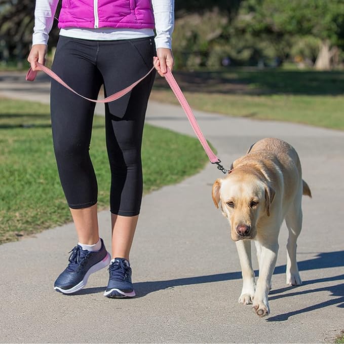 ECO-CLEAN Dog Leash for Large Dogs, Traffic Padded 2 Handles for Extra Control, 6 FT Long with Reflective Stitch for Night Walking (Pink)