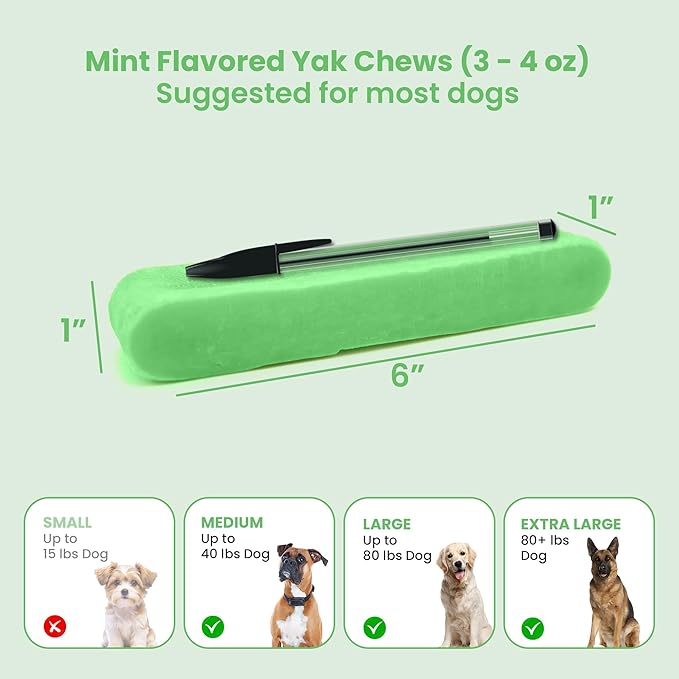 KATHMANDU'S 100% Natural Mint Flavored Yak Chews – Keep Dogs Busy & Happy with Our Lactose&Rawhide Free Himalayan Dog Chews - Long Lasting Dental Treats for Aggressive Chewers (Large, Pack of 4)
