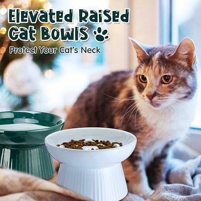 Tioncy 2 Pcs Raised Cat Slow Feeder Bowl Ceramic Elevated Cat Dog Food Bowl No Spill High Edge for Dry Wet Food and Water Easy to Clean, Dishwasher Safe (Dark Green,Blue)
