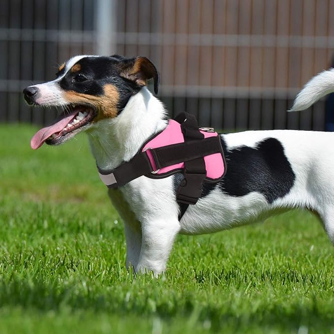 Bolux Dog Harness, No-Pull Reflective Dog Vest, Breathable Adjustable Pet Harness with Handle for Outdoor Walking - No More Pulling, Tugging or Choking (Pink, L)
