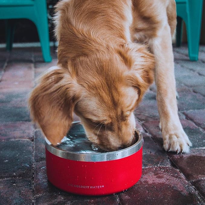 Coldest Dog Bowl - Anti Rust Metal, Non Slip, 3 Layers Insulated Stainless Steel Dog Bowls - Spill Proof & Heavy Duty - Water Bowl for Dogs, Cats & Pets, Dish Washer Safe (200 oz, Crimson Red)