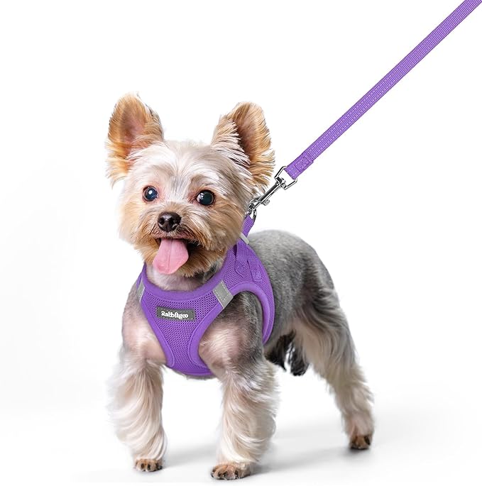 rabbitgoo Dog Harness Small Sized and Leash Set, Step in Soft Light Puppy Vest, Breathable Mesh Pet Harness, Reflective for Safe Outdoor Walking, Purple XS