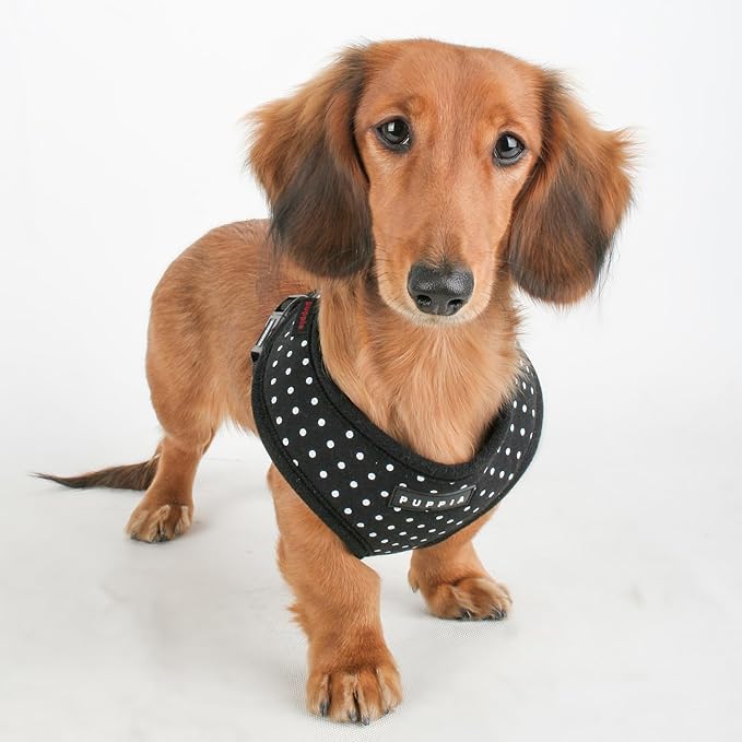 Puppia Dotty Dog Harness Over-The-Head No Pull No Choke Walking Training Adjustable for Small & Medium Dog, Small, Black