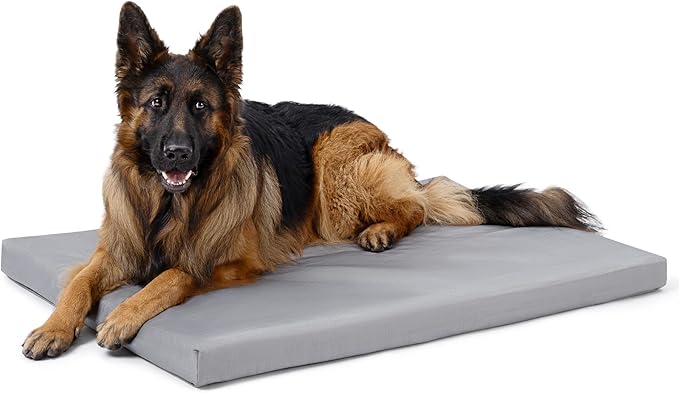 Cybarmour Indestructible Dog Bed - Outdoor Waterproof Chew Proof Dog Crate Pad - Orthopedic Kennel Mat for Aggressive Chewers - Extra Large Breeds & Fits 48-Inch Crate - 47"x29", Limestone
