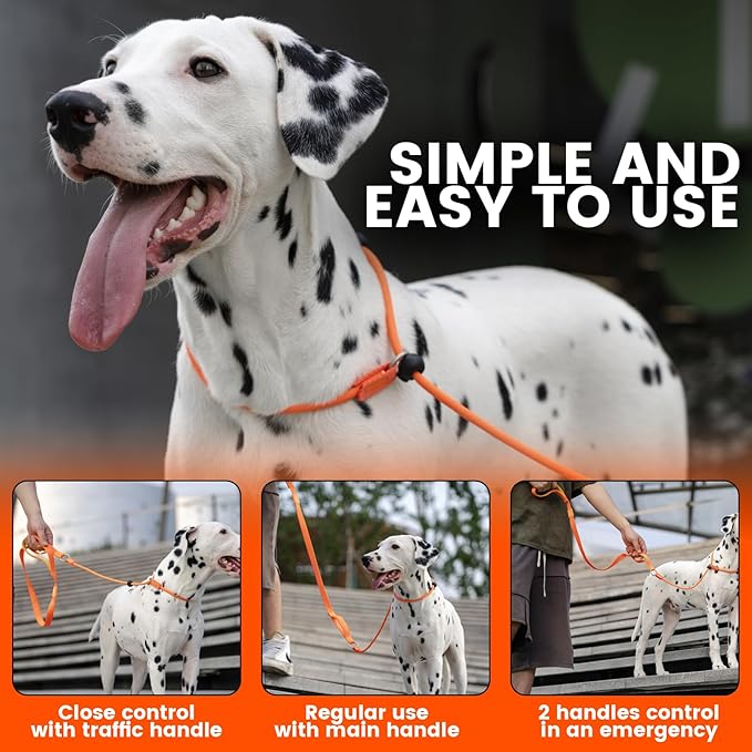 Howgo Dog Slip Lead Dog Leash, Training Lead, No-Pull Slip Leash and Collar, Heavy Duty & Durable Nylon, Padded Handle, for All Breeds (Black, 5FT)