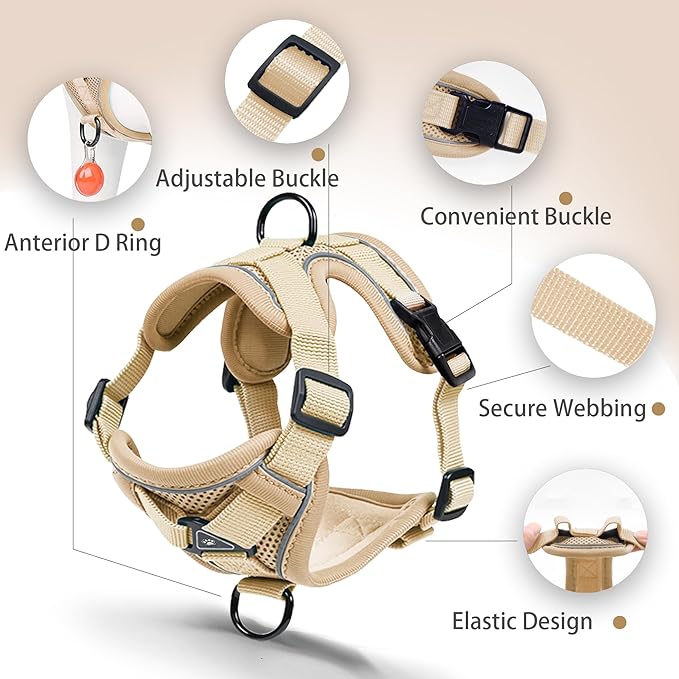 No Pull Dog Harness with Leash Set for Small Sized Dog, Reflective Adjustable No Choke Front Clip Cat Vest Harness with Breathable Mesh, Comfortable Soft Padded Pet Vest, Brown M