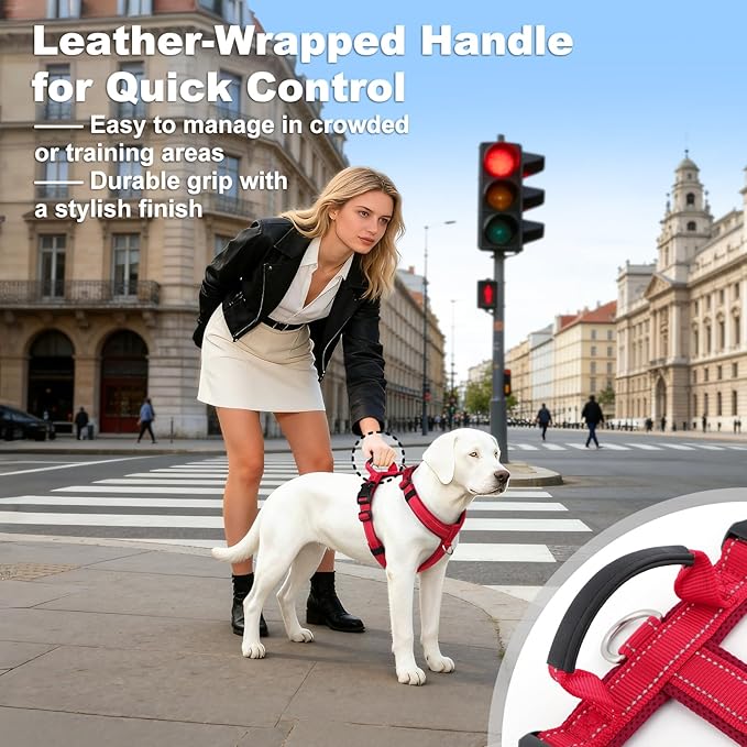 No Pull Dog Harness with Handle, Soft Mesh Padded Adjustable for Small Medium Large Dogs | Reflective Easy Walk Harness with Front Clip for Training, Running & Outdoor (Red, XS)