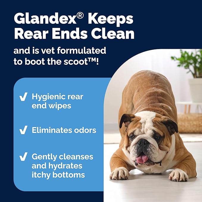 Vetnique Glandex Dog Wipes for Pets Cleansing & Deodorizing Anal Gland Hygienic Dog & Cat Wipes with Vitamin E, Skin Conditioners and Aloe (75ct)
