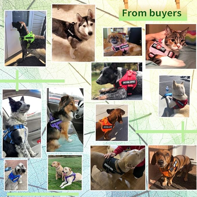 voopet Service Dog Harness, Emotional Support Pet Vest Harness, Reflective Breathable & Adjustable No Pull ESA Harness for Small Medium Large Dogs (with 4 PCS Removeable Tags),XX Small (Pack of 1)