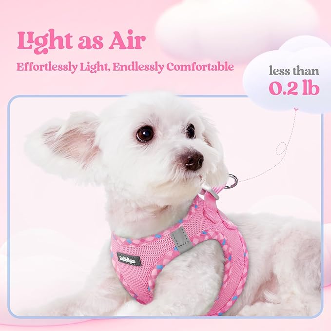 rabbitgoo Dog Harness Small Sized and Leash Set, Step in Soft Light Puppy Vest, Breathable Mesh Pet Harness, Reflective for Safe Easy Walking, Pink & Plaid Trim S