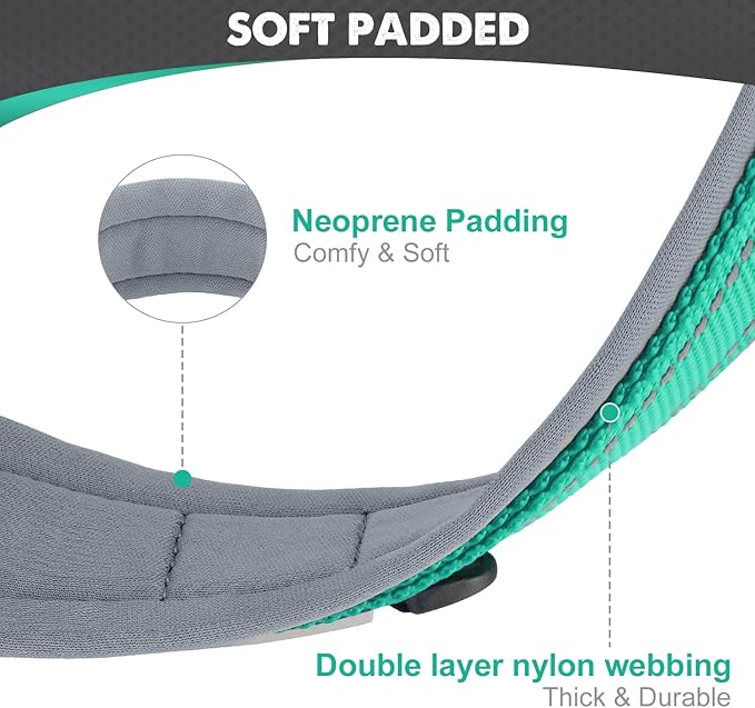 Joytale Dog Collar for Small Dogs, Neoprene Padded and Adjustable, Reflective Wide Heavy Duty Pet Collars with Durable Metal Belt Buckle for Walking, Teal, S