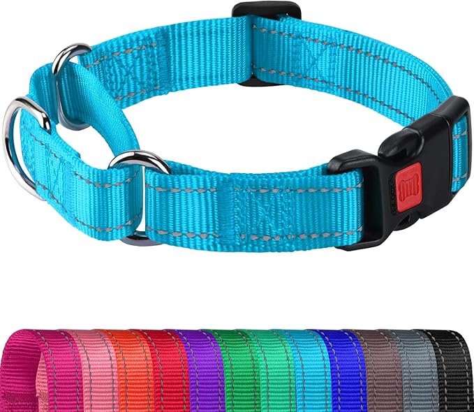 Joytale Martingale Collar for Dogs, Reflective Heavy Duty for Safety, Quick Release Buckle, Adjustable Nylon Collars for Puppy and XSmall Dogs Walking Training, Sky Blue,XS