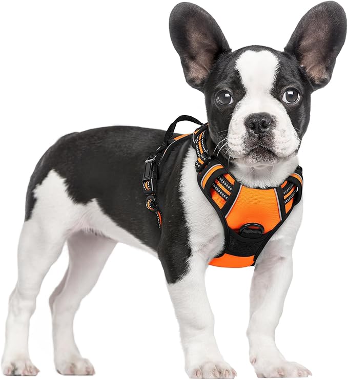 rabbitgoo Dog Harness No Pull with 2 Leash Clips, Adjustable Soft Padded, Reflective Oxford No Choke Pet Vest with Easy Control Handle for Small Dogs,Orange,S