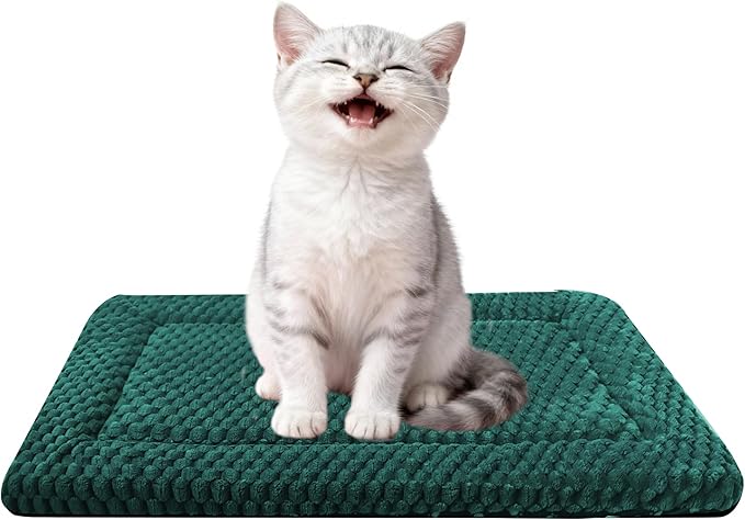 Dog Bed Mat - Dog Crate Pad - Reversible Mat for Pet Comfort - Soft Bed Crate Pads for All Seasons - Durable, Machine Washable Mat for Crates, Travel, and Home (Dark Green, 18" L*14" W*1.5" Th)
