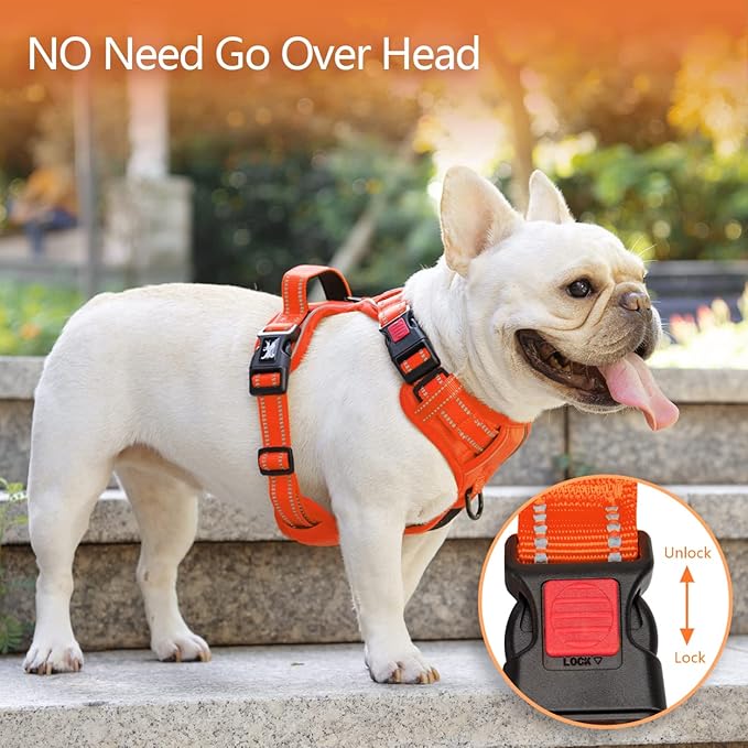 PoyPet No Pull Dog Harness, No Choke Reflective Dog Vest, Adjustable Pet Harnesses with Easy Control Padded Handle for Small Medium Large Dogs(Orange Matching Trim,L)