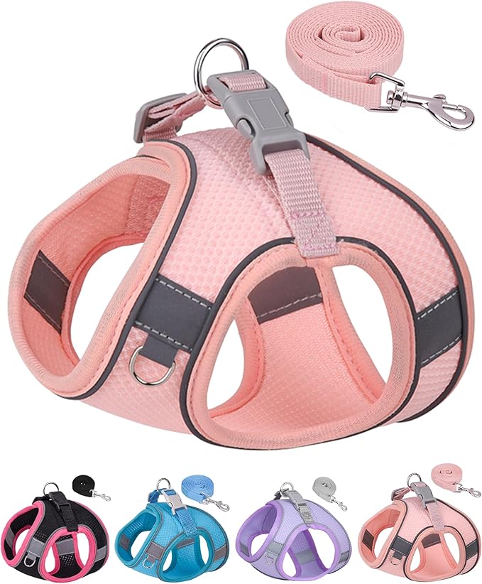 Dog Harness for Small Medium Sized Dog, Step in Puppy Harness and Leash Set Training Walking. (Peach, XS)