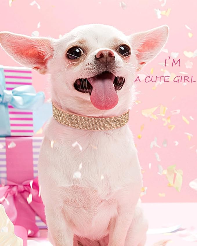 Dog Collar for Medium Dogs, Adjustable Leather Suede Bling Dog Collars，Pink Dog Collar Cat Collar, Rhinestone Dog Collar (M, Pink)