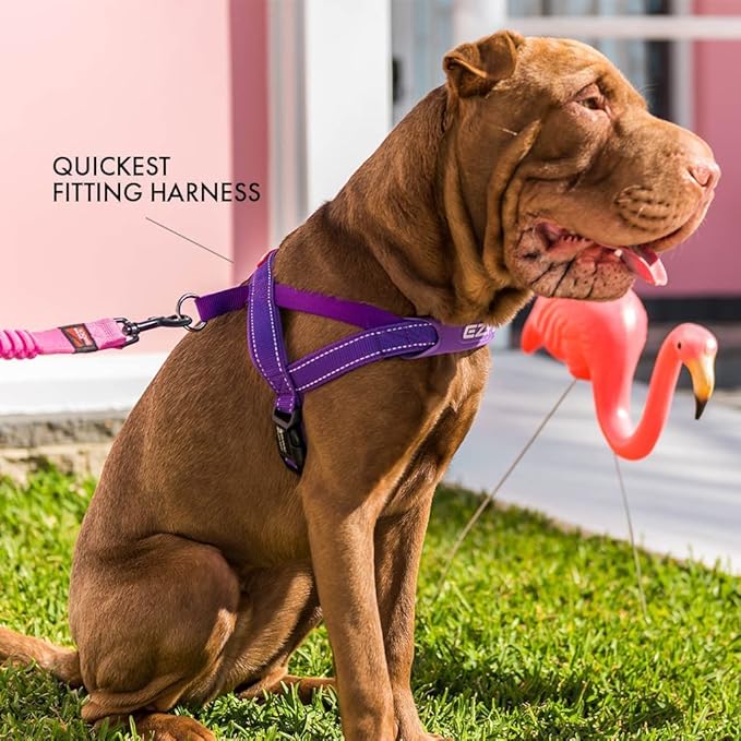 EzyDog Quick Fit Dog Harness ??No Pull Harness for Training, Everyday Walking, and Easy Control - Adjustable Fit, Reflective, and Padded (X-Small, Denim)