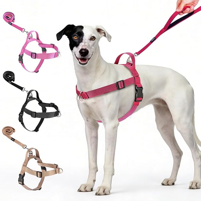 Annchwool No Pull Dog Harness with Front Clip and Easy Control Handle-Belly & Chest Adjustable Dog Harness and Leash Set for Medium Large Dogs-Heavy Duty Vest Harnesses Easy for Walking(Red,XL)