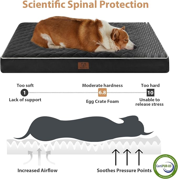 WNPETHOME Orthopedic Big Dog Beds Large Sized Dog, Waterproof Extra Large Dogs Bed with Removable Washable Cover, Multi-Needle Quilting Dogs Crate Bed