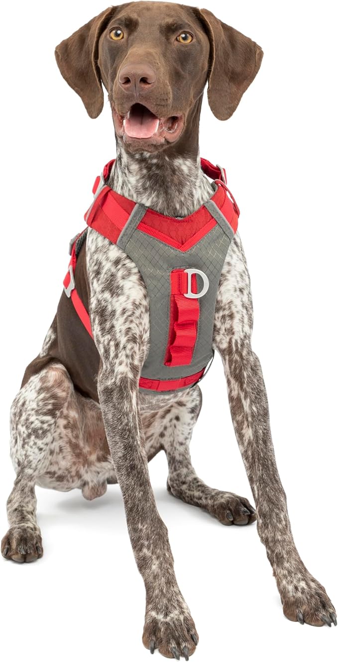 Kurgo Journey Air Dog Harness - Secure Fit for Active Dogs - Padded Chest - Lightweight Ripstop Fabric - Breathable Mesh - Reflective Trim - Back Assist Handle - Red - Medium