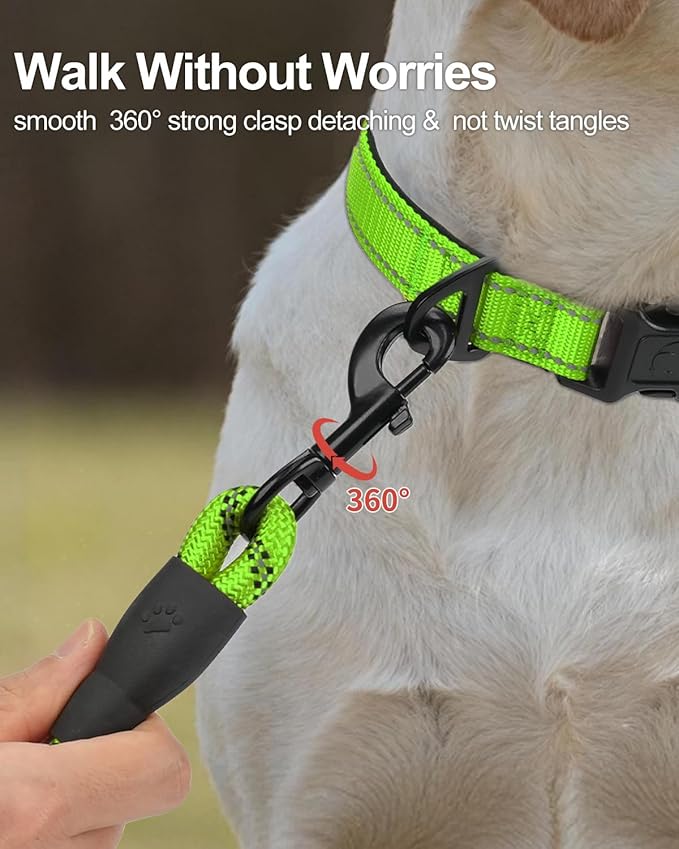 Joytale Dog Leash for Small Dogs, Heavy Duty Nylon Leashes with Comfortable Padded Handle and Highly Reflective Threads, Ideal for Walking and Training, Green, 5'횞3/8''