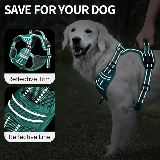 HEELE Dog Harness for Small Dogs No Pull Dog Vest Harness for Small Dog with Soft Padded Handle Reflective for Outdoor Training, Grass Green, S