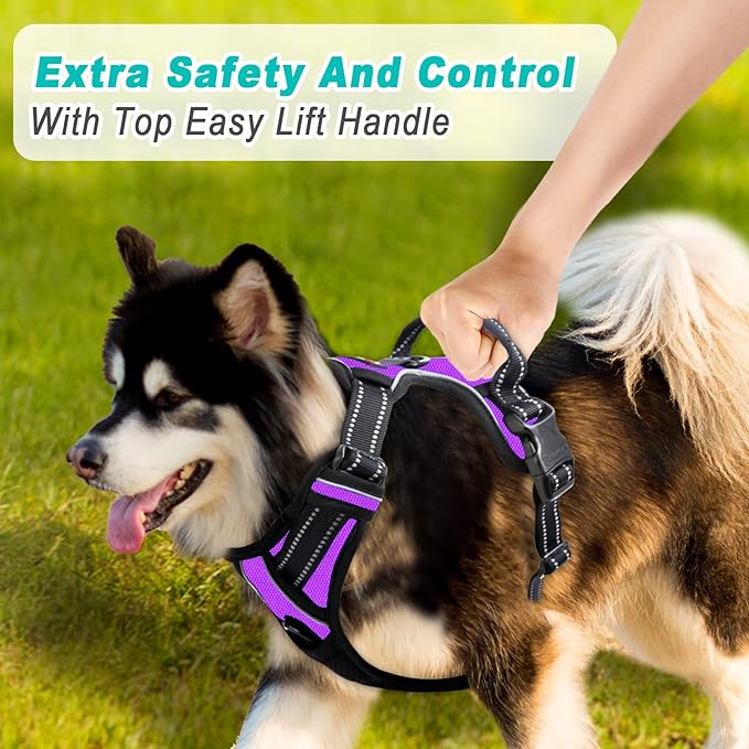 BARKBAY No Pull Dog Harness Large Step in Reflective Dog Harness with Front Clip and Easy Control Handle for Walking Training Running(Purple,M)