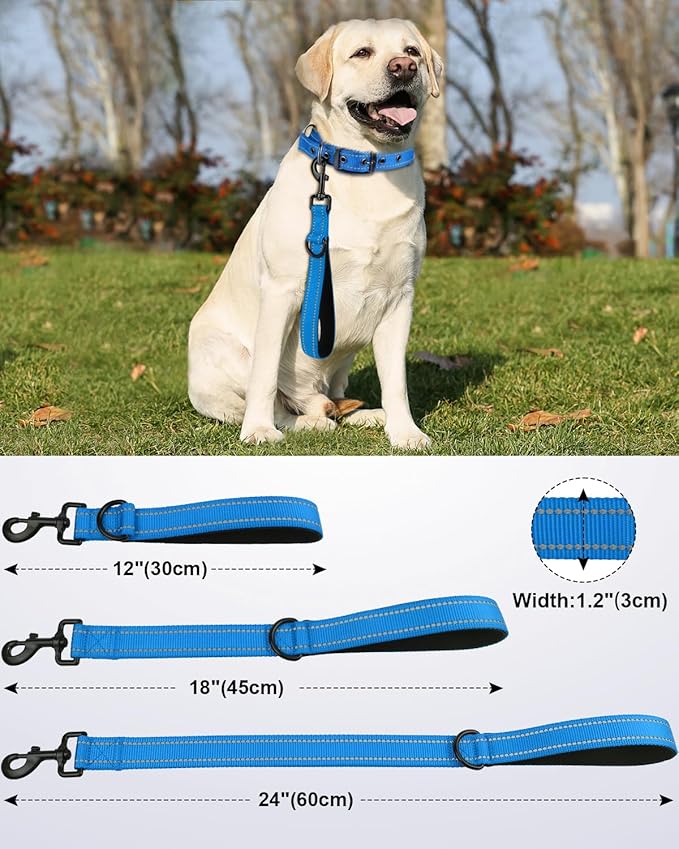 Joytale Strong Short Dog Leash 18 Inch, 1.2 Inch Wide, Heavy Duty, Padded Handle for Traffic Control, Reflective Leash for Medium and Large Dogs Walking Training, Aqua Blue