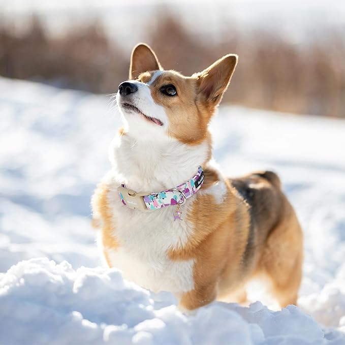 Winter Wonderland Dog Collar for Small Dogs竊똀djustable White Puppy Collar with Purple Pink Teal Pine Tree, Deer and Cabin Line Art, for Daily Walks, Photos & Seasonal Adventures - M