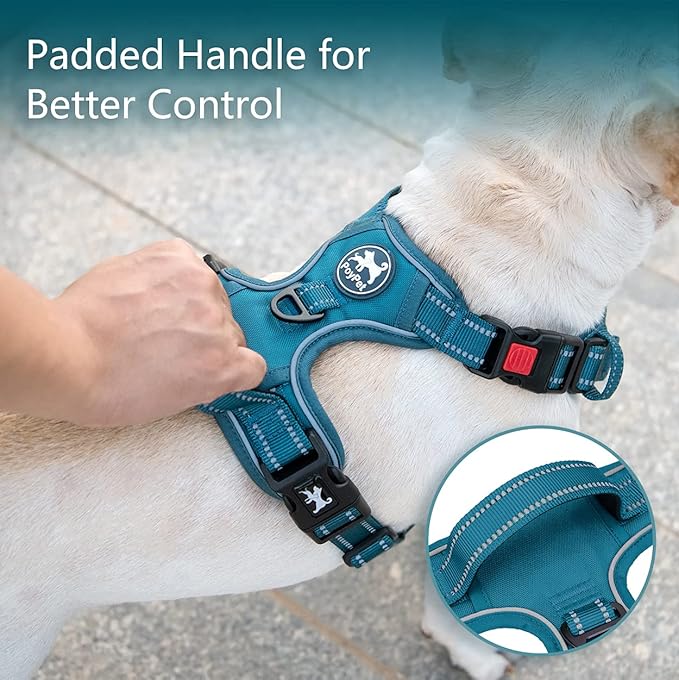 PoyPet No Pull Dog Harness, No Choke Reflective Dog Vest, Adjustable Pet Harnesses with Easy Control Padded Handle for Small Medium Large Dogs(Tumalo Teal,M)
