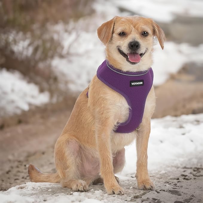 Voyager Aerolite Over The Head Dog Harness, No Pull Breathable Air Mesh Vest, Quick Dry with Reflective Stitching, Adjustable Escape Resistant Harness for Small Medium Large Dogs - Purple, Small