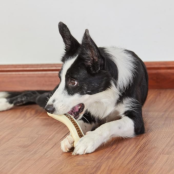 Dog Chew Toys for Aggressive Chewers, 4 Pack Beef Flavor Tough Dog Bones for Large/Medium Breed Dogs, Nylon Pet Teething Toys