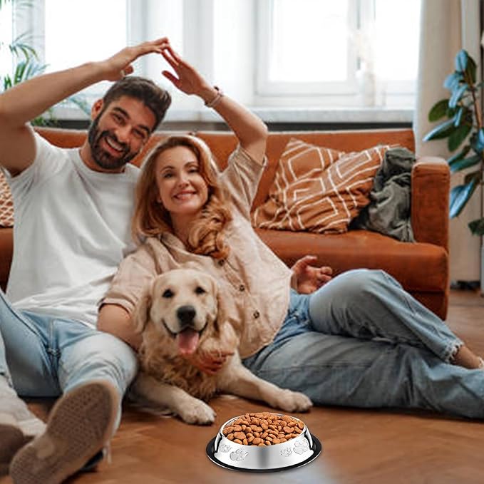 10 Pcs Stainless Steel Dog Bowl Pet Feeding Bowl with Rubber Base Non-Slip Pet Dishes Metal Dog Bowls Pet Food and Water Bowls for Small Medium Animals Kitten Rabbit (18.6 oz)