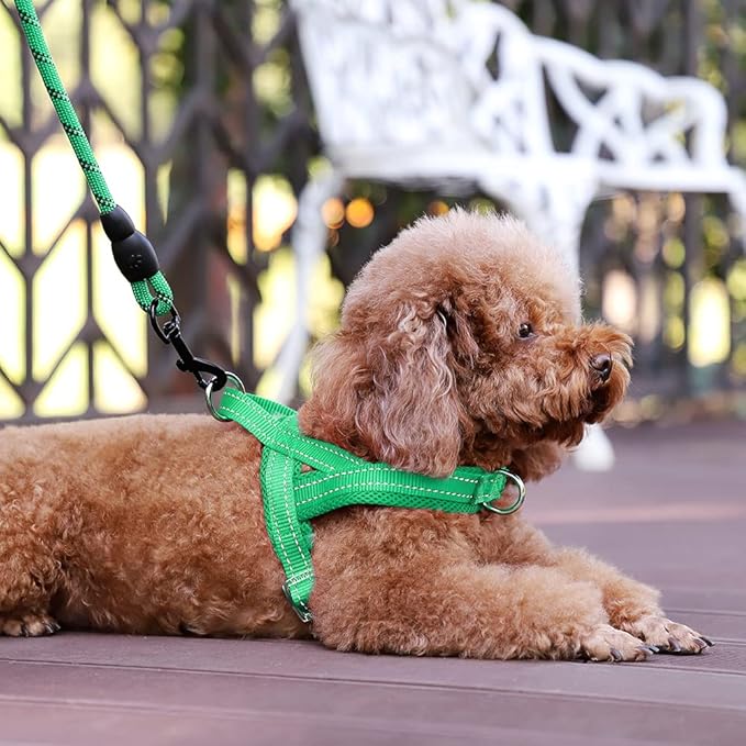 Plutus Pet No Pull Dog Harness with Breathable Mesh Padded, Adjustable Reflective Escape Proof Dog Harness, Quick Fit Dog Vest Harness for Small Medium Large Dogs(S, Green)