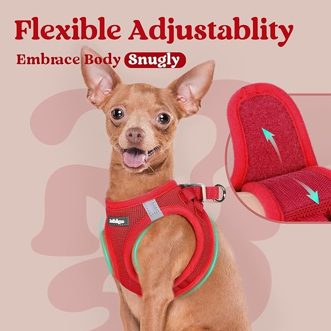 rabbitgoo Small Dog Harness, Step-in Soft Mesh Puppy Vest with Safety Buckle, Breathable Reflective Pet Harness for Small Sized Dogs, Red S