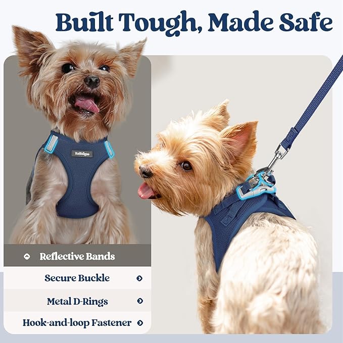rabbitgoo Dog Harness Small Sized and Leash Set, Step in Soft Light Puppy Vest, Breathable Mesh Pet Harness, Reflective for Outdoor Safe Walking, Navy Blue XL