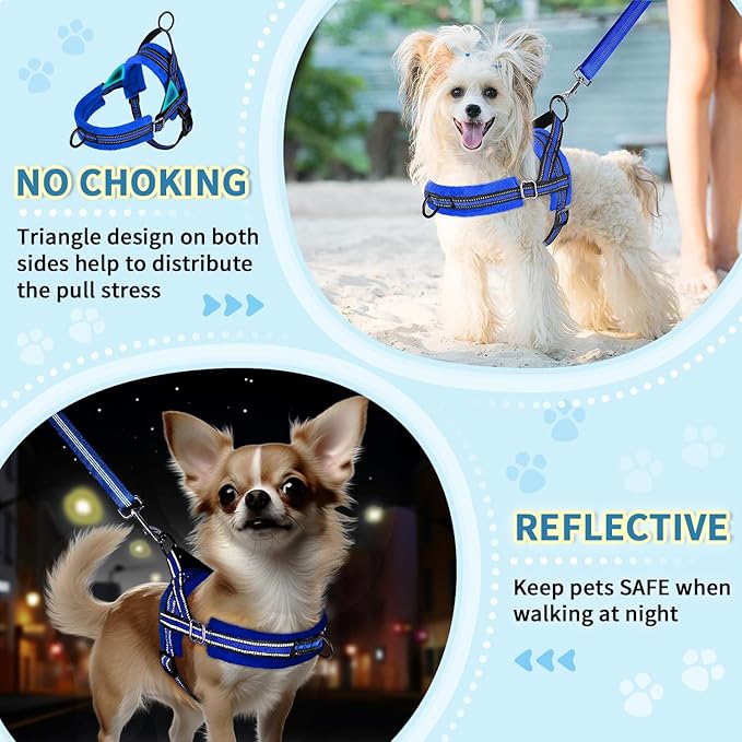 Lukovee No Pull Dog Harness and Leash Set, Soft Padded Small Dog Harness, Neck & Chest Adjustable Reflective Vest Puppy Harness with 4ft Lightweight Anti-Twist Dog Leash for Small Dogs (Blue, Large)