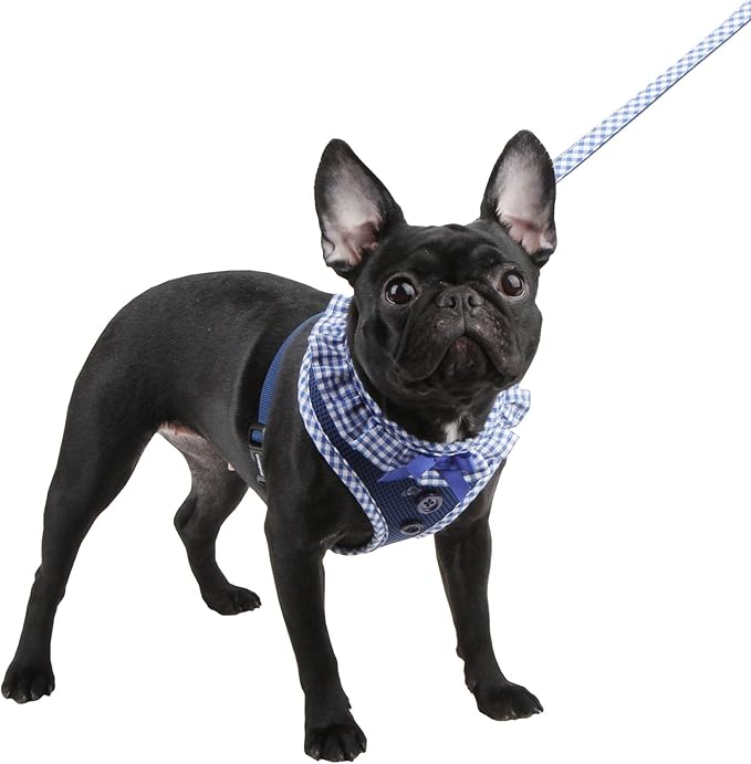 Puppia Authentic Vivien Harness, Royal, Medium