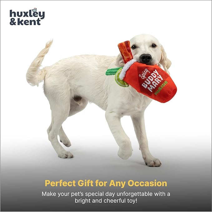 Huxley & Kent Funny Dog Toy w/Squeaker – Power Plush Squeaky Dog Toys for Small, Medium & Large Dogs – Soft Stuffed Animal for Indoor Play & Fetch - Buddy Mary, Small