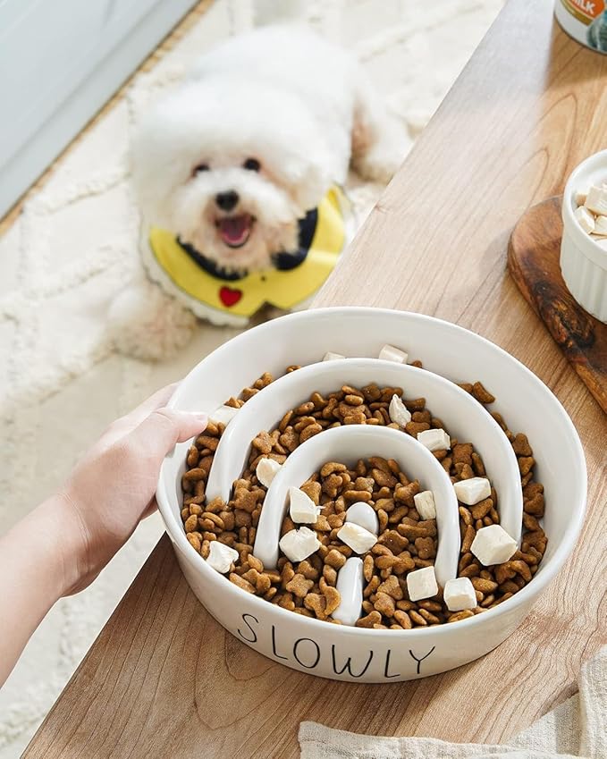 Ceramic Slow Feeder Dog Bowls Elevated for Small and Medium Breed with Wooden Stand, 1.5 Cups Dog Dishes to Slow Down Eating, Anti-Gulping Pet Feeding Dishes,White