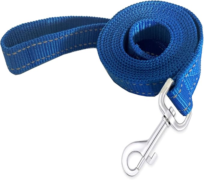 Reflective Dog Leash 4Ft /6 Feet Long, 3/4 Inch Wide, for Small and Medium Dogs