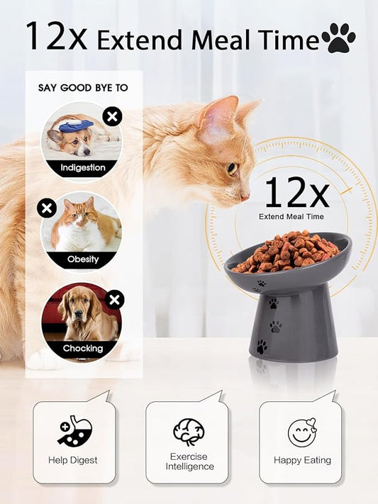 Y YHY Slow Feeder Cat Bowl, Ceramic Cat Slow Feeder Bowl, 6 Inches, Elevated, Anti Vomiting for Dry and Wet Food, Gray