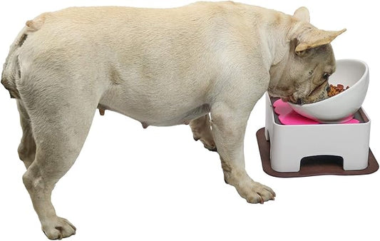 Raised Ceramic Dog Feeding Bowl,Adjustable Elevated Dog Bowls Set Anti-Slip,Standing Pet Feeding Dish for Small Medium Dogs and Cats,White